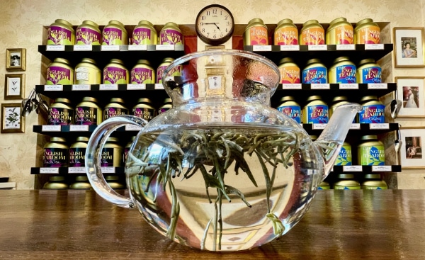 Weißer Tee Silver Needle in einer Glaskanne