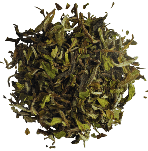 Darjeeling 1st Flush Giddapahar Clonal Delight DJ09/26