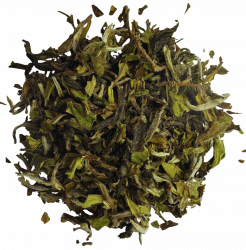 Darjeeling 1st Flush Giddapahar Clonal Delight DJ09/26