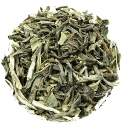 Glenburn Good Fortune First Flush Darjeeling