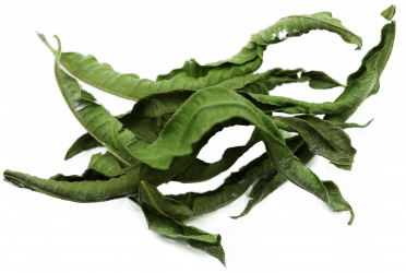 Organic Vervain Herbal Infusion